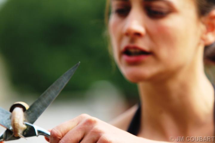 Diapositive suivante